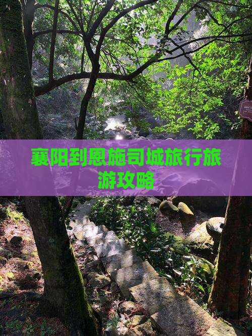 襄阳到恩施土司城旅行社
