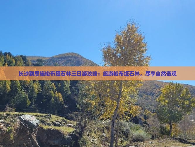长沙到恩施梭布垭石林三日游