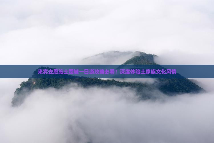 来宾去恩施土司城一日