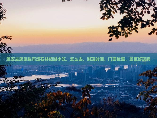 雅安去恩施梭布垭石林旅游小吃