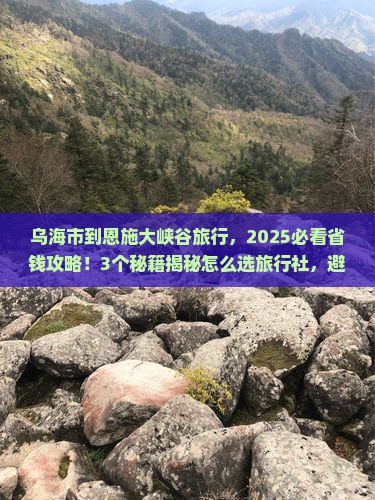 乌海市到恩施大峡谷旅行社