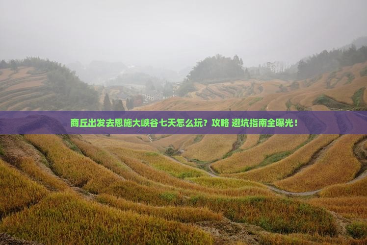 商丘去恩施大峡谷七日游