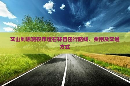 文山到恩施梭布垭石林自由行
