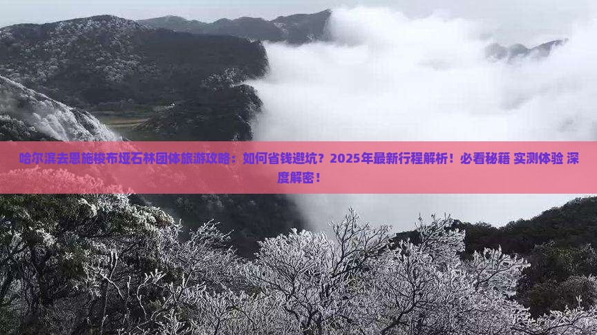 哈尔滨去恩施梭布垭石林团体旅游