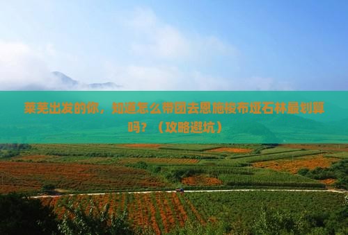 莱芜到恩施梭布垭石林团体旅游