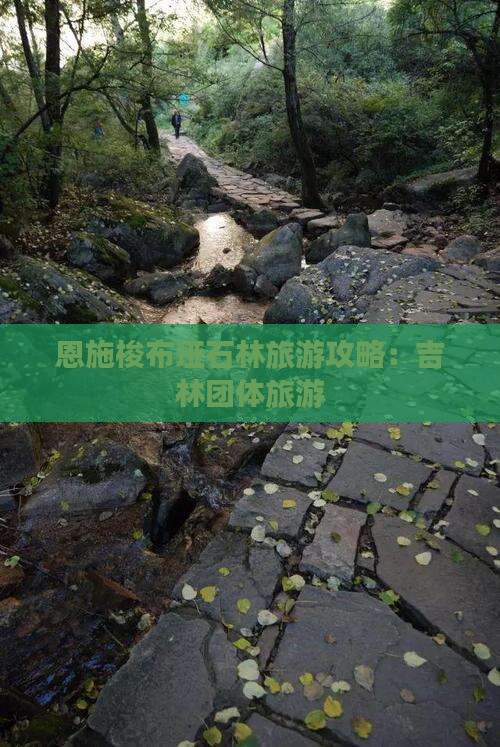 吉林去恩施梭布垭石林团体旅游