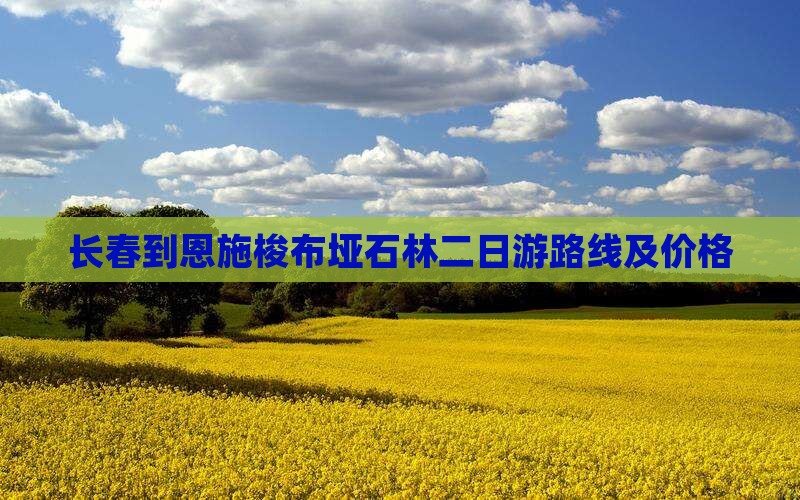 长春到恩施梭布垭石林二日游