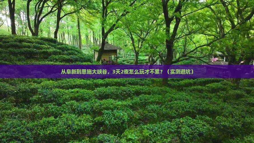 阜新到恩施大峡谷个人游