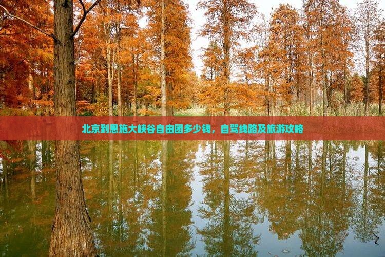 北京到恩施大峡谷自由团