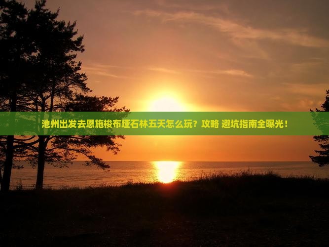 池州去恩施梭布垭石林五日游