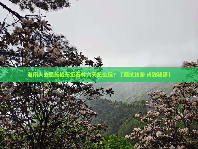 淮南去恩施梭布垭石林六日游