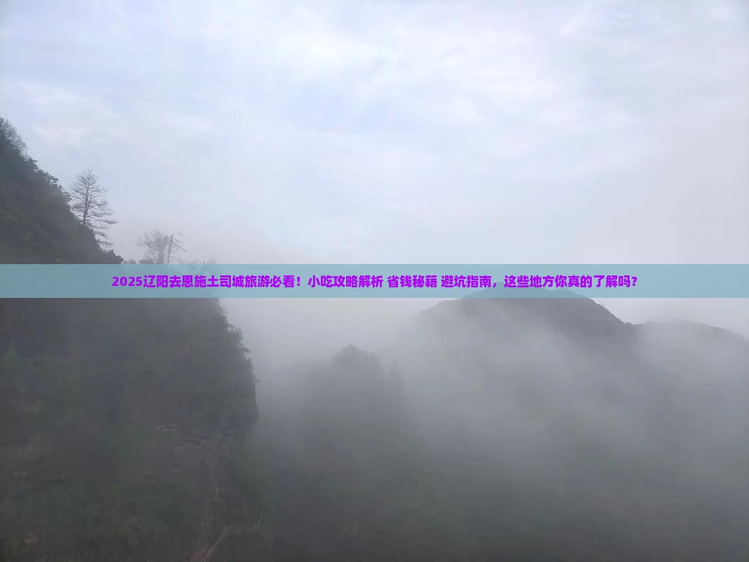 辽阳去恩施土司城旅游小吃