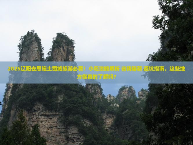 辽阳去恩施土司城旅游小吃