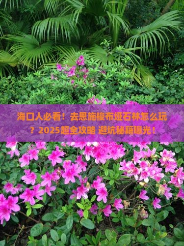 海口去恩施梭布垭石林景点