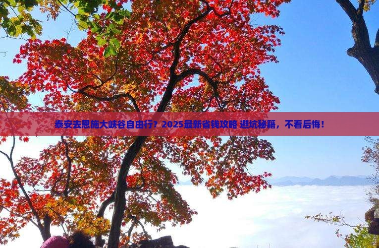 泰安去恩施大峡谷自由行