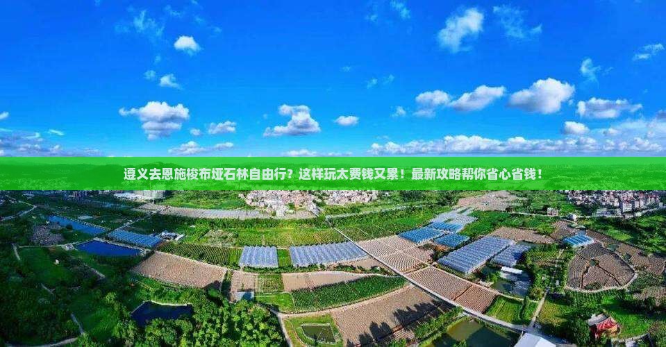 遵义去恩施梭布垭石林自由行