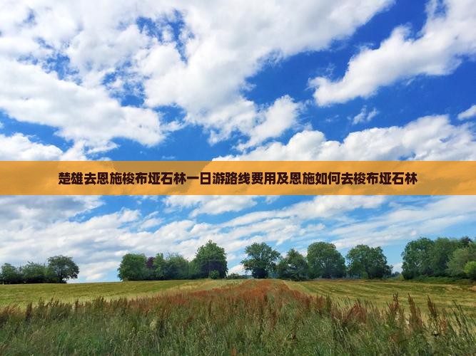 楚雄去恩施梭布垭石林一日