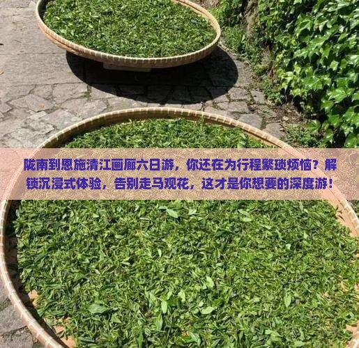 陇南到恩施清江画廊六日游