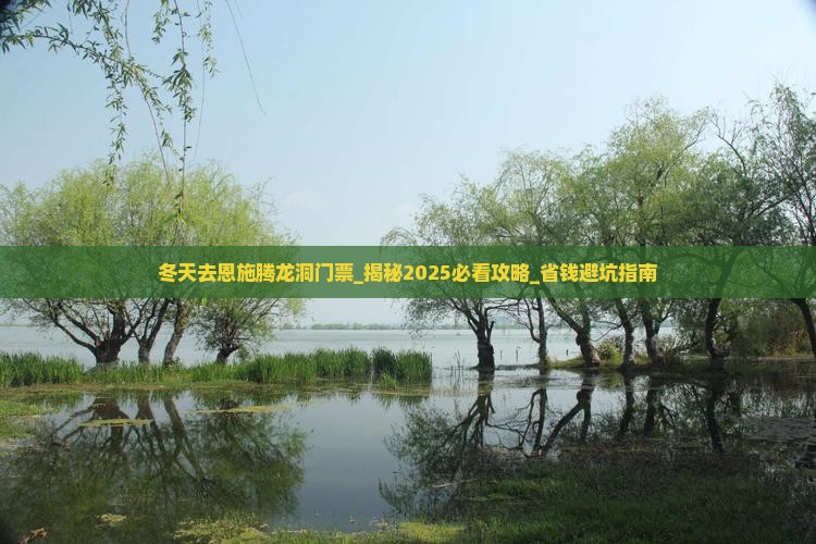 冬天去恩施腾龙洞门票