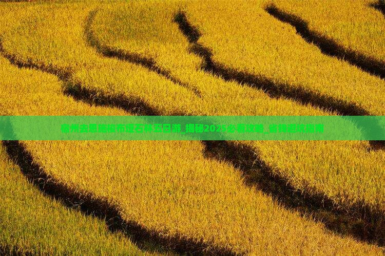 宿州去恩施梭布垭石林五日游