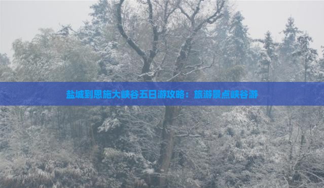 盐城到恩施大峡谷五日游