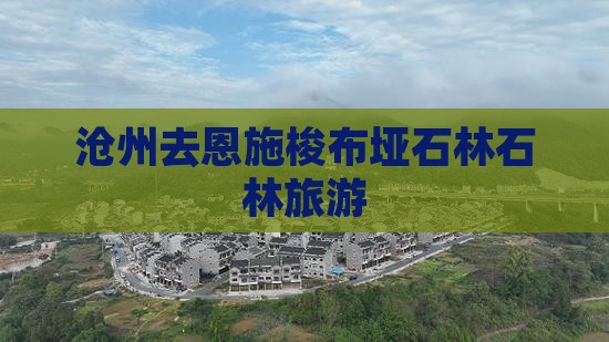 沧州去恩施梭布垭石林旅行社