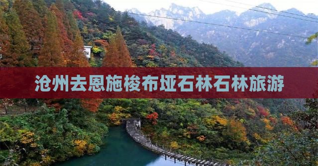 沧州去恩施梭布垭石林旅行社