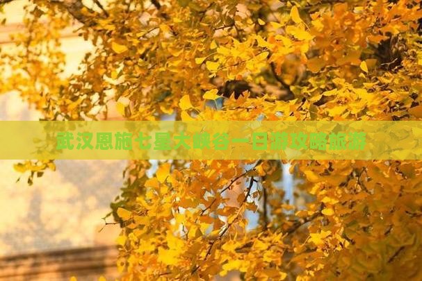 武汉到恩施七星寨一日