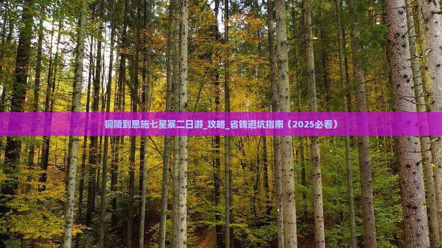 铜陵到恩施七星寨二日游