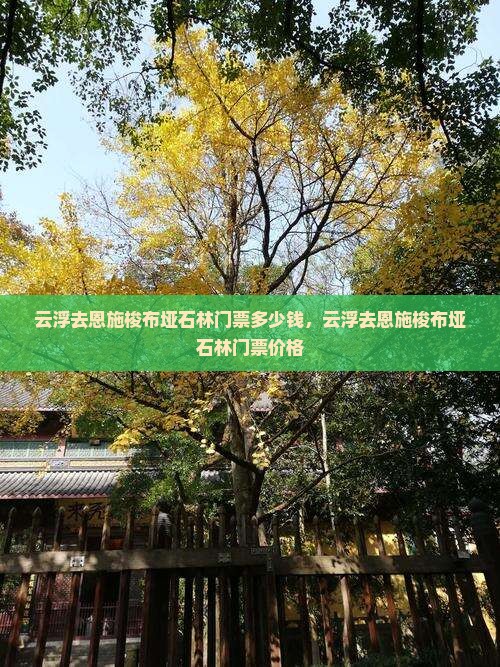 云浮去恩施梭布垭石林门票