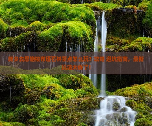 新乡去恩施梭布垭石林景点