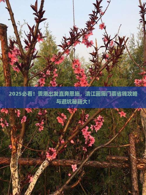 贵港到恩施清江画廊门票