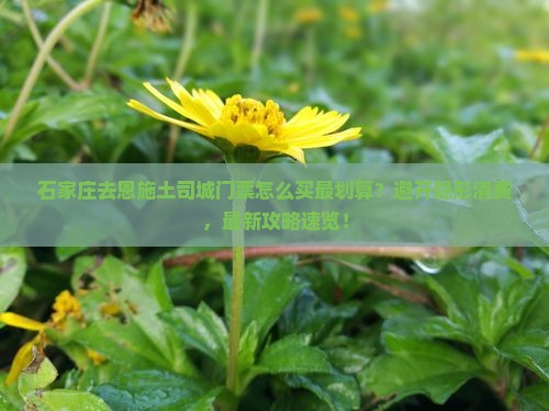 石家庄去恩施土司城门票
