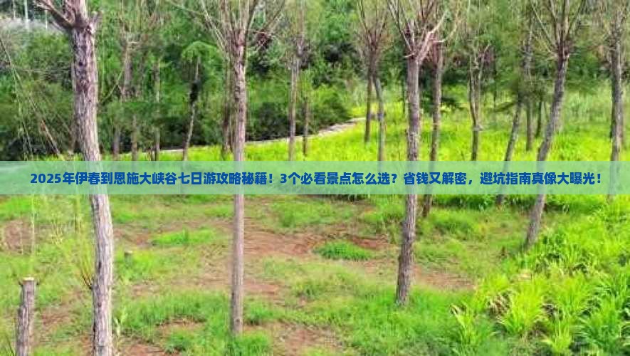 伊春到恩施大峡谷七日游