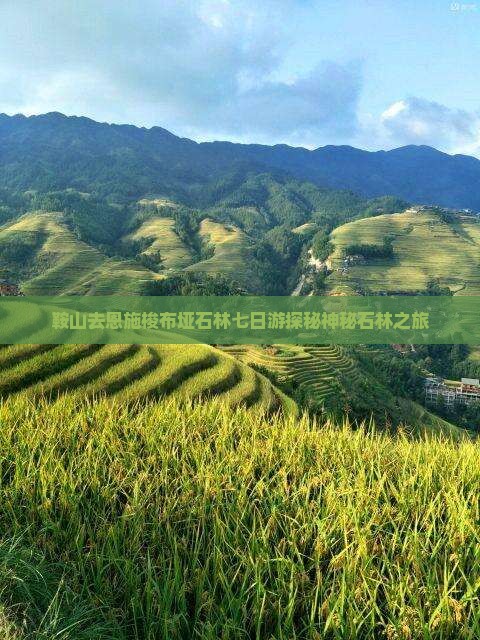 鞍山去恩施梭布垭石林七日游