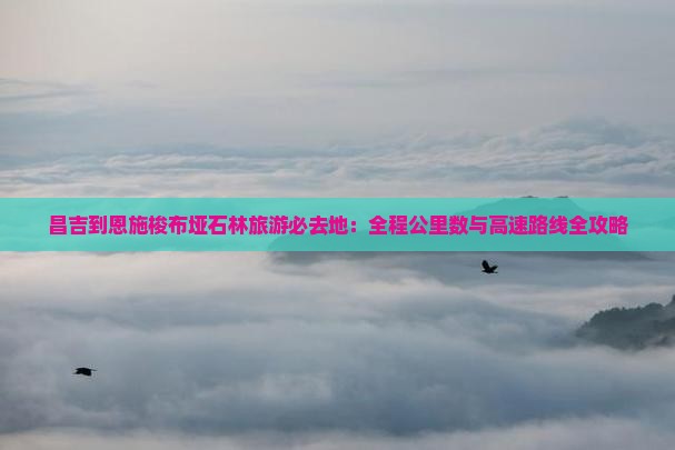 昌吉到恩施梭布垭石林必去地