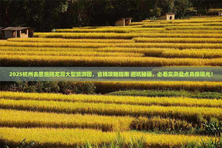 杭州去恩施腾龙洞大型旅游团