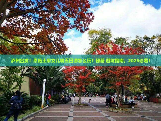 泸州到恩施土家女儿城五日游