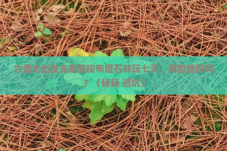 六盘水到恩施梭布垭石林七日游