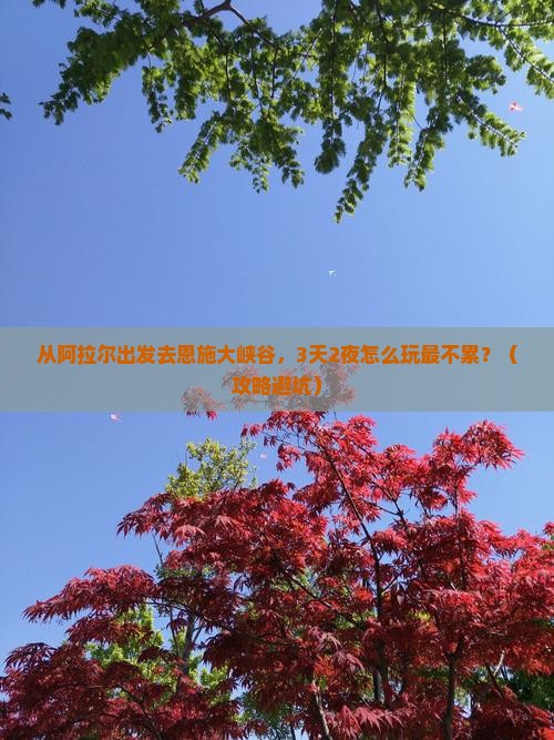 阿拉尔去恩施大峡谷大型旅游团