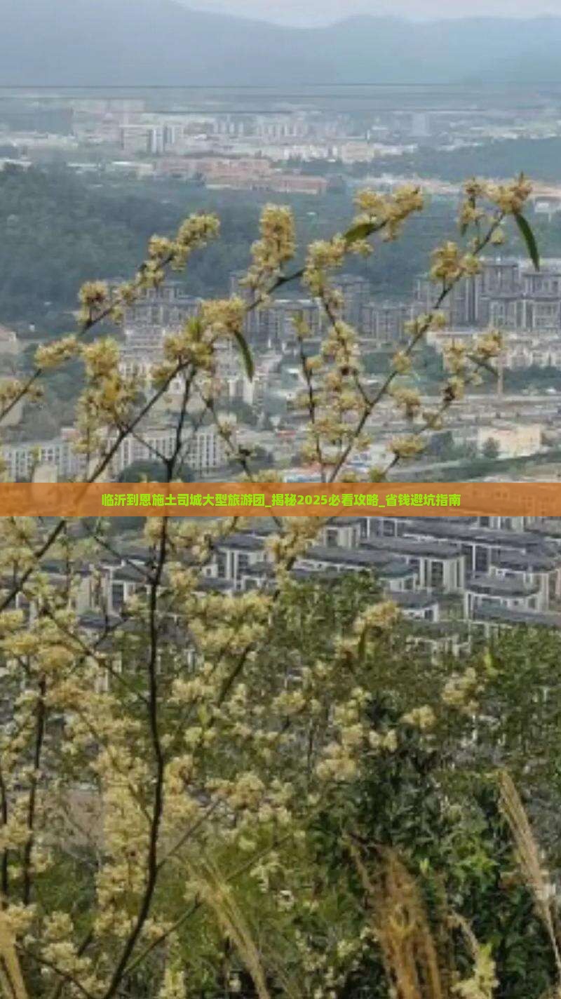 临沂到恩施土司城大型旅游团