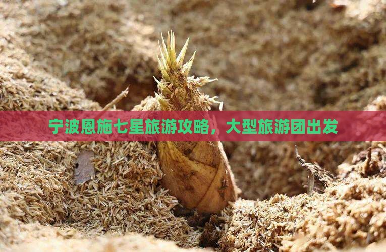 宁波去恩施七星寨大型旅游团