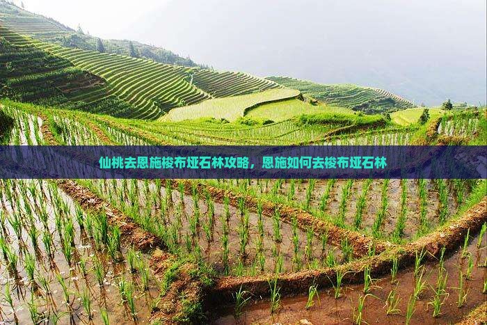 仙桃去恩施梭布垭石林攻略