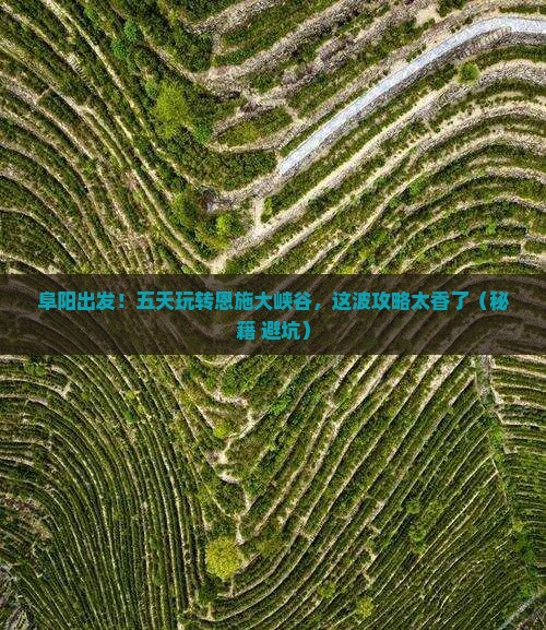 阜阳到恩施大峡谷五日游