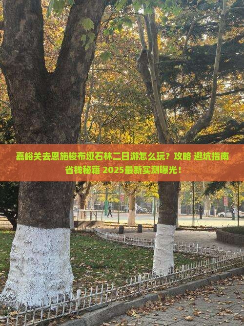 嘉峪关去恩施梭布垭石林二日游