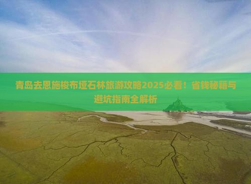 青岛去恩施梭布垭石林旅游