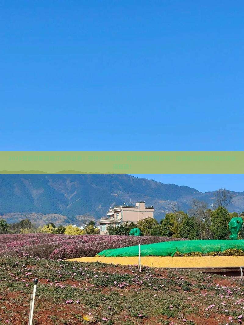 芜湖到恩施清江画廊哪里玩