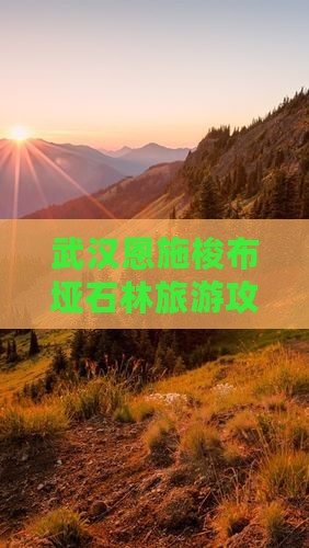武汉去恩施梭布垭石林个人游
