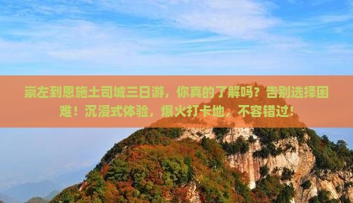 崇左到恩施土司城三日游