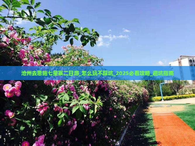 沧州去恩施七星寨二日游